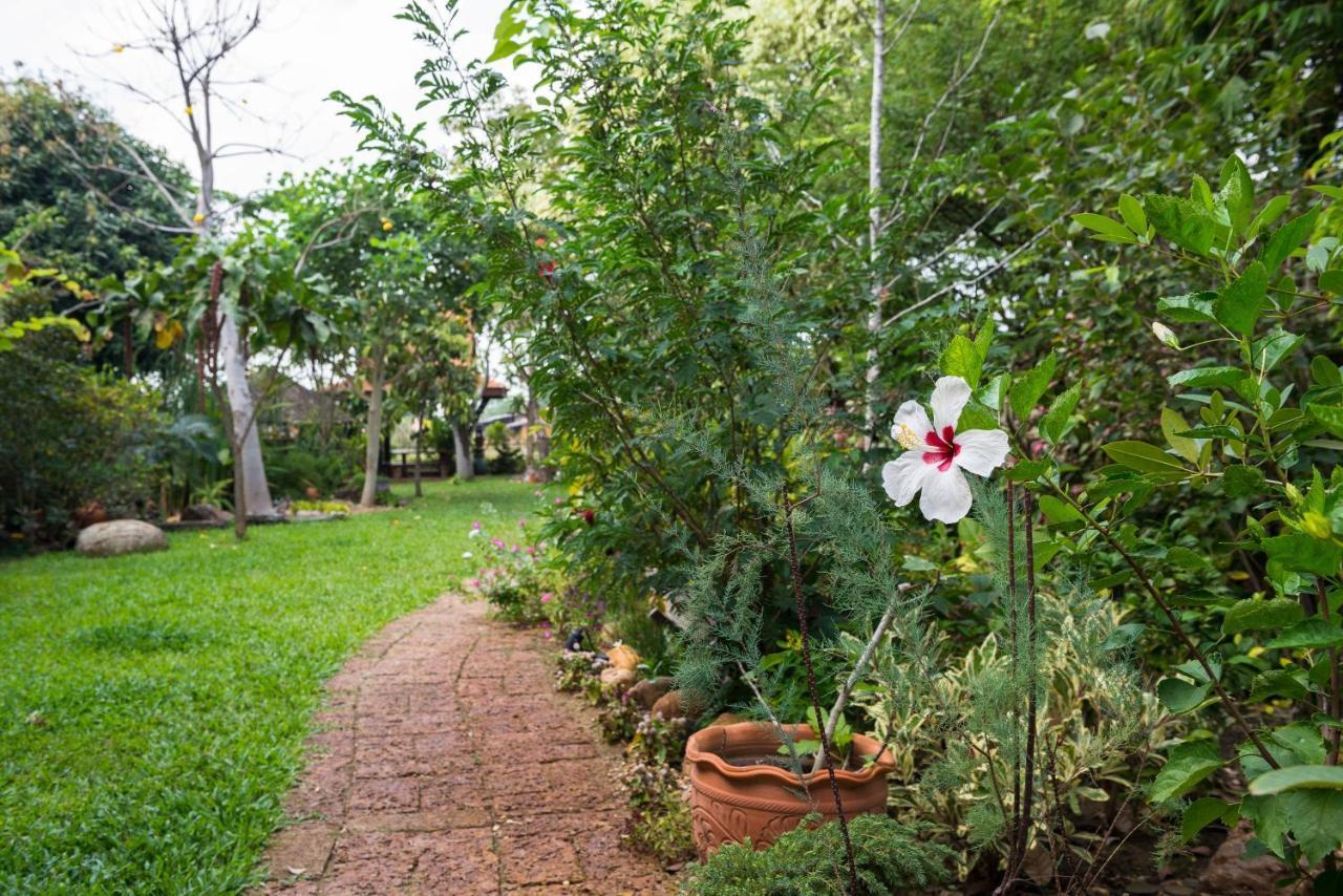 Cattani'S Riverside Home Phra Nakhon Si Ayutthaya Exterior photo