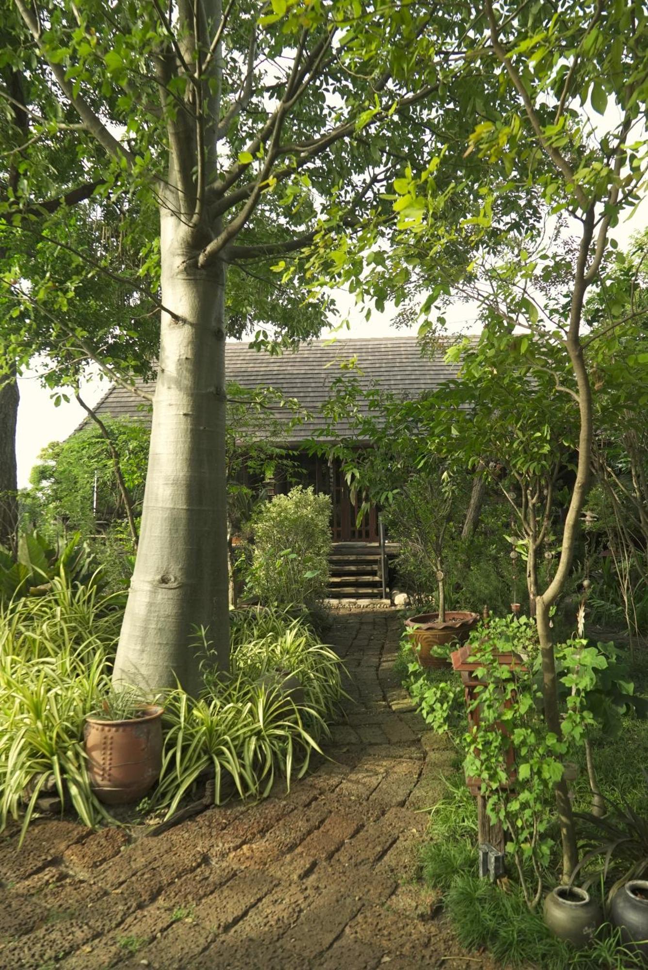 Cattani'S Riverside Home Phra Nakhon Si Ayutthaya Exterior photo